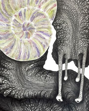 « Nos humeurs se répandent, sous nos pieds le sol s’imprègne » CHLOÉ SAKSIK