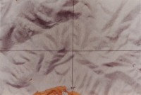 THANKS TO LUIGI GHIRRI  & Italian Emerging Photography 