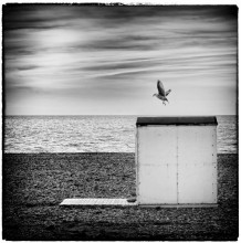 Exposition A la plage en 2013 : Yves Gillard  la Galerie Vra Amsellem