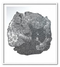 Philippe CHITARRINI : Expostion galerie Martagon