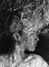 Esther Sgal, du bout des yeux