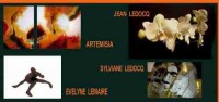 Artemise - Ledocq
