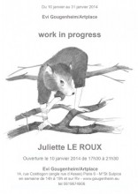 Juliette Le Roux - Work in Progress