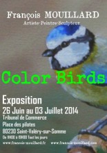Color birds