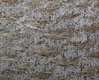 Terre anonyme par CHAE SUNG PIL