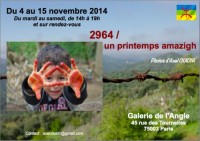 2964 / un printemps amazigh