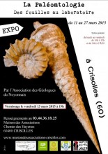 La Palontologie - Des fouilles au laboratoire