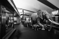Exposition Clarisse Rebotier