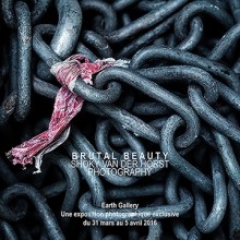 Brutal Beauty par Shoky Van Der Horst