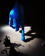 Equin, l'esprit du cheval