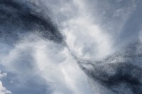 Exposition Murmuration 
