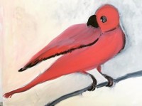 Drles d'oiseaux