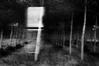 Le voyage sombre et l'trange ordinaire