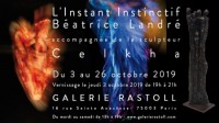 L'instant Instinctif