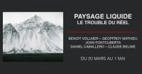 Exposition - Paysage Liquide ``Le trouble du rel``