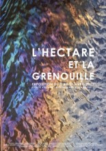 L’Hectare et la Grenouille