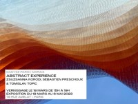 Abstract Experience