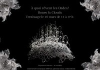  quoi rvent les ondes? Bones & Clouds