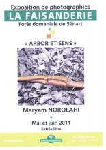 ARBOR ET SENS - Maryam Norolahi