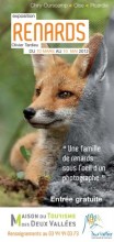 Renards - photographies d'Olivier Tardieu