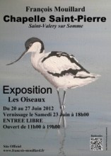 Exposition picturale