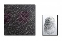 Philippe CHITARRINI : FINGERPRINT'S OBSESSION #1
